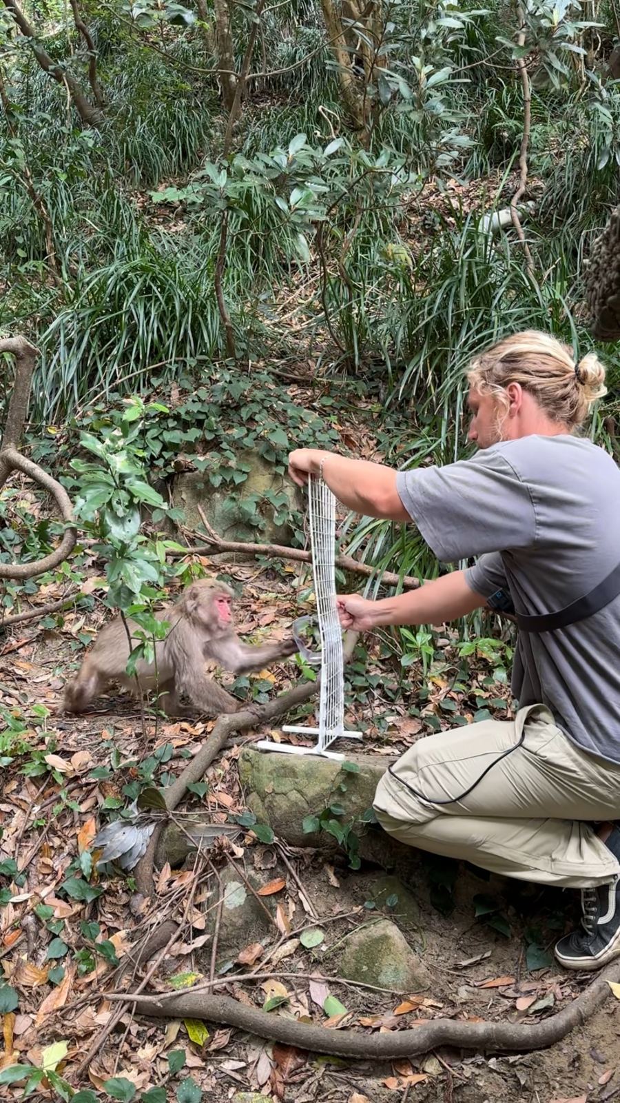 Evan running the cylinder task with a Japanese macaque